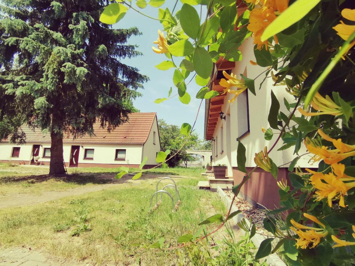 Doppelhaushaelfte Nordwind Vom Naturhof Usedom Bannemin Exterior photo